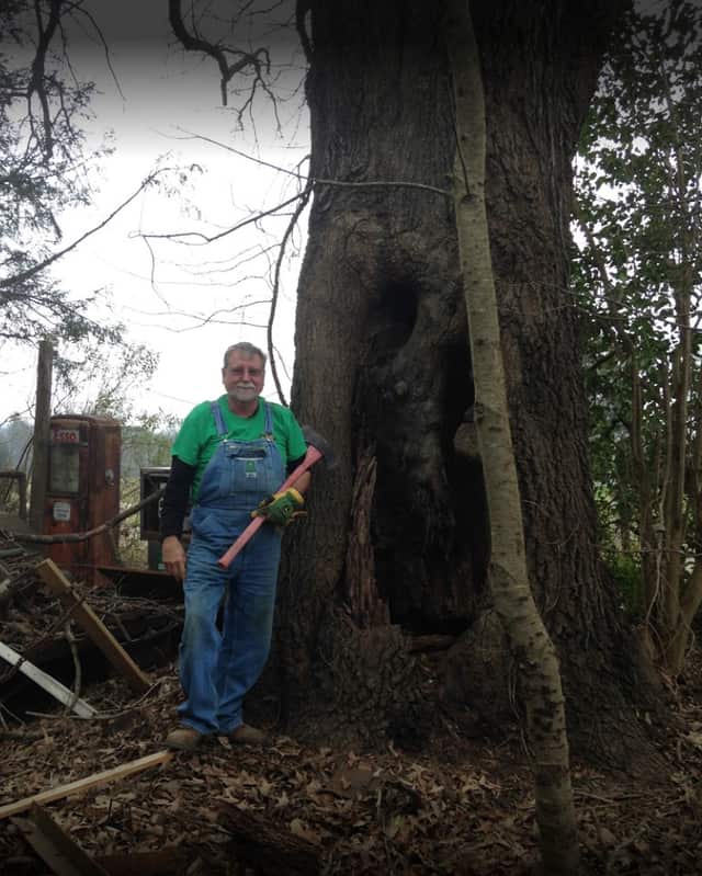 Jake Hoffman, owner of We's is Trees, on the job in Gastonia