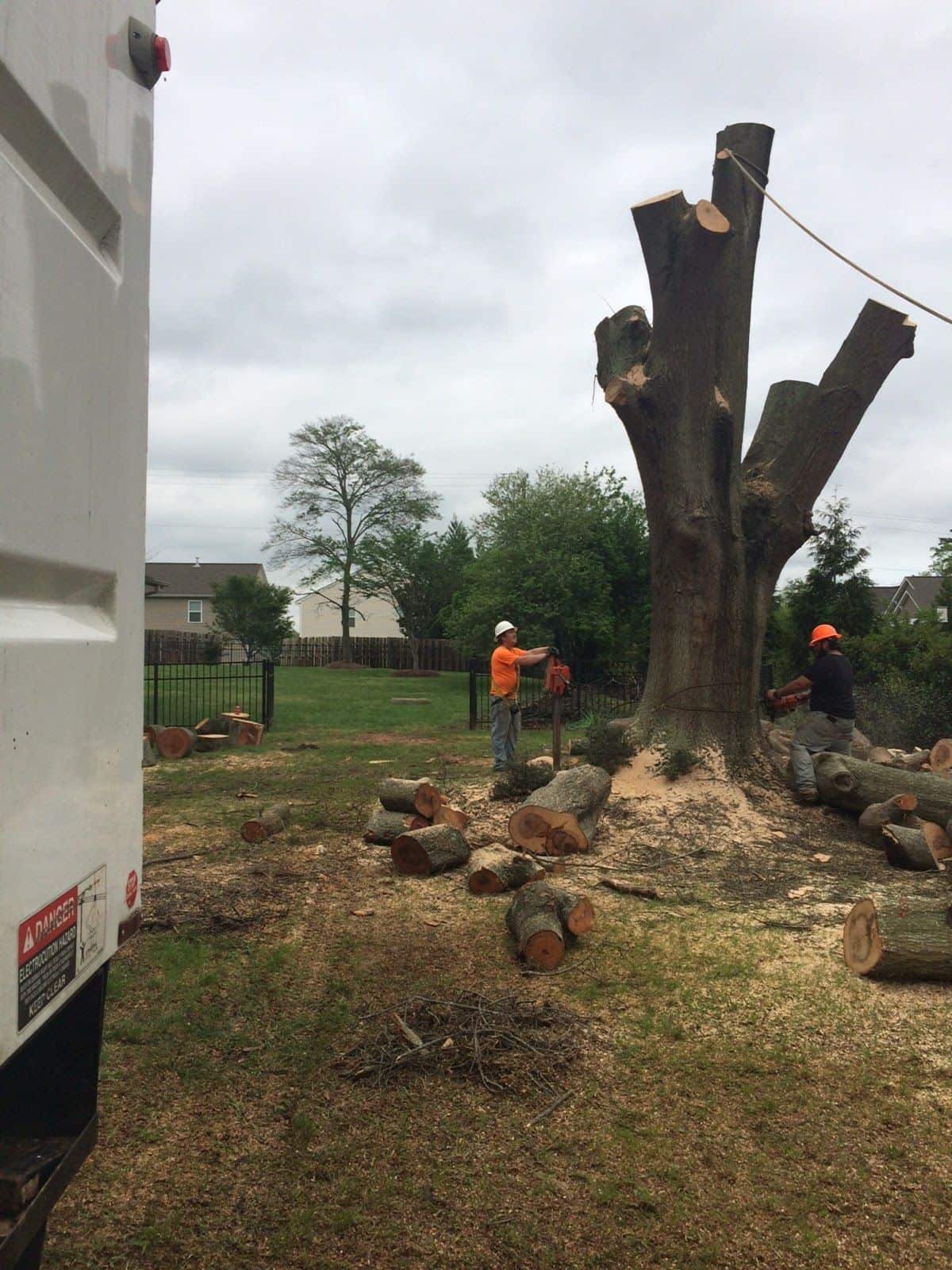 Jake Hoffman — owner and operator, We's is Trees