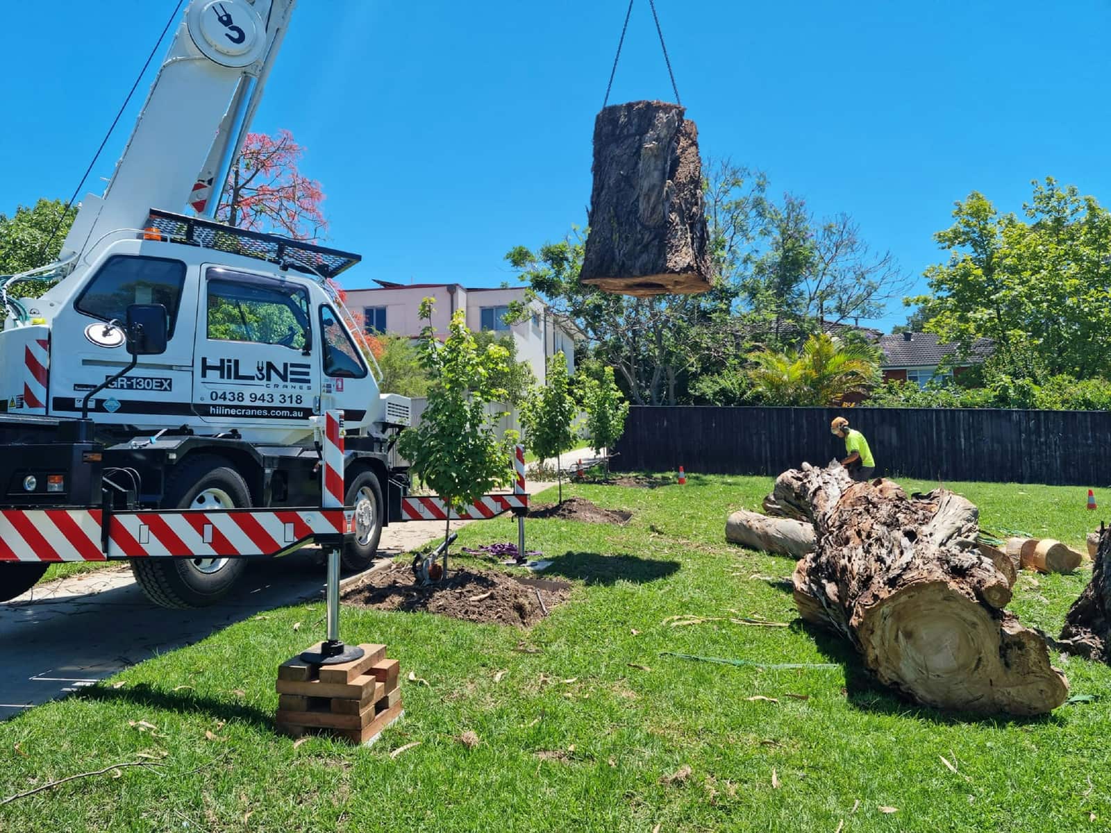 Safe tree removal service